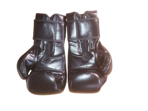 Professional 12ozboxing gloves