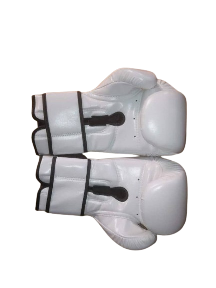 Professional 12ozboxing gloves