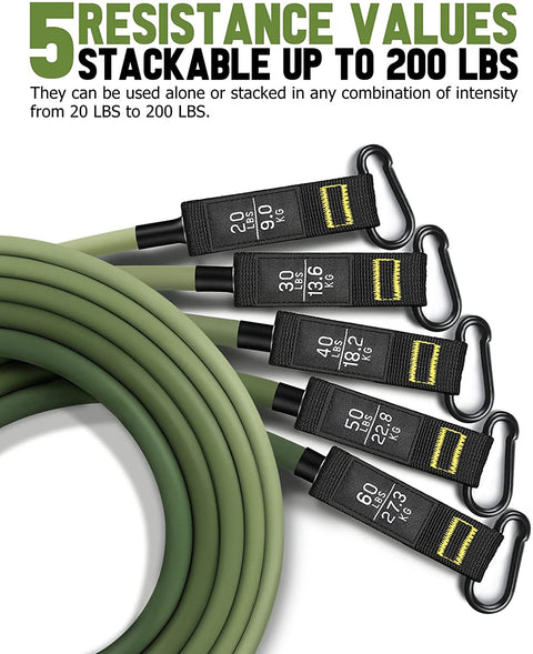 Versatile Resistance Band Set for Full-Body Workout
